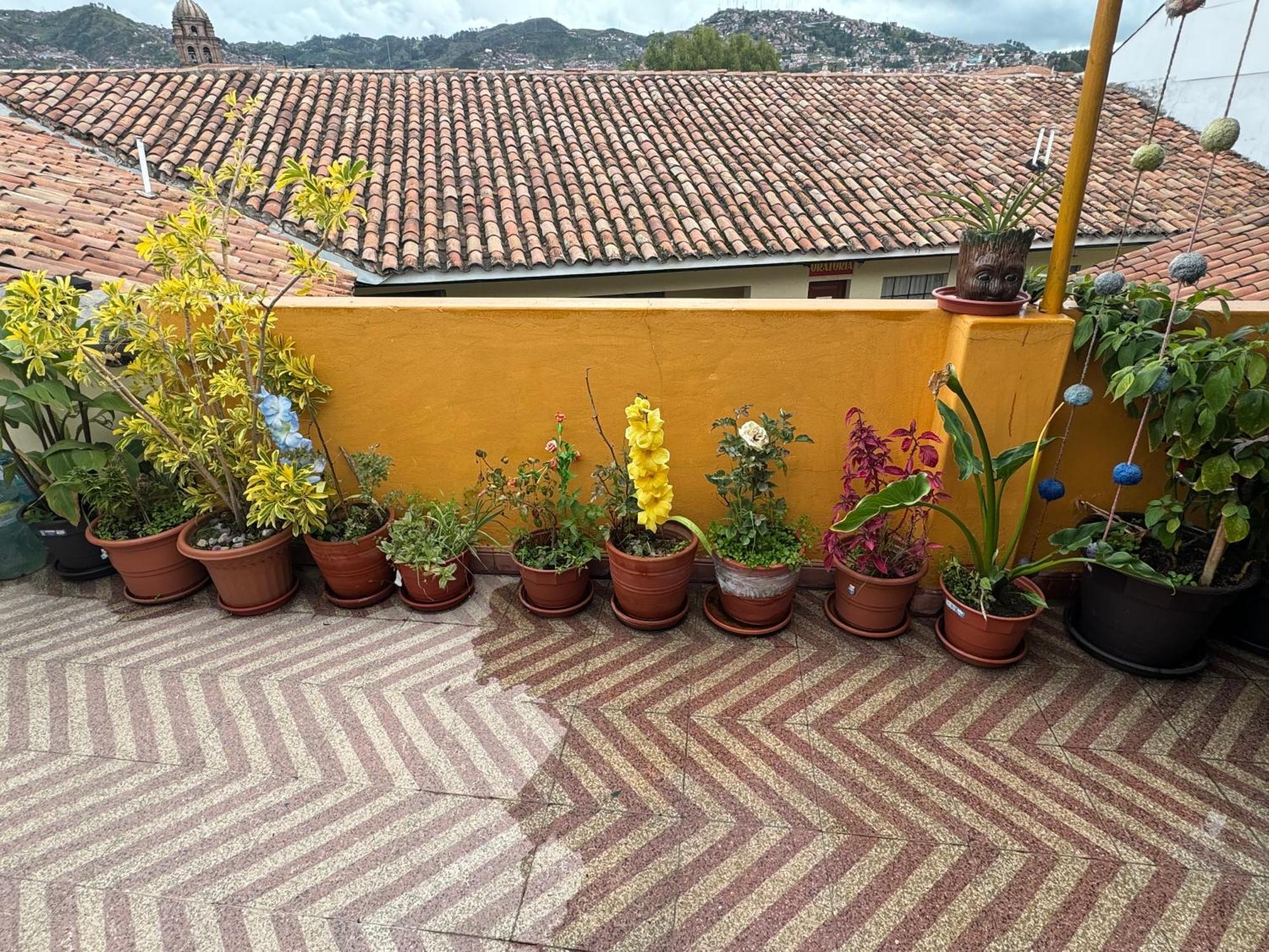 Cozy With Terrace Center Appartement